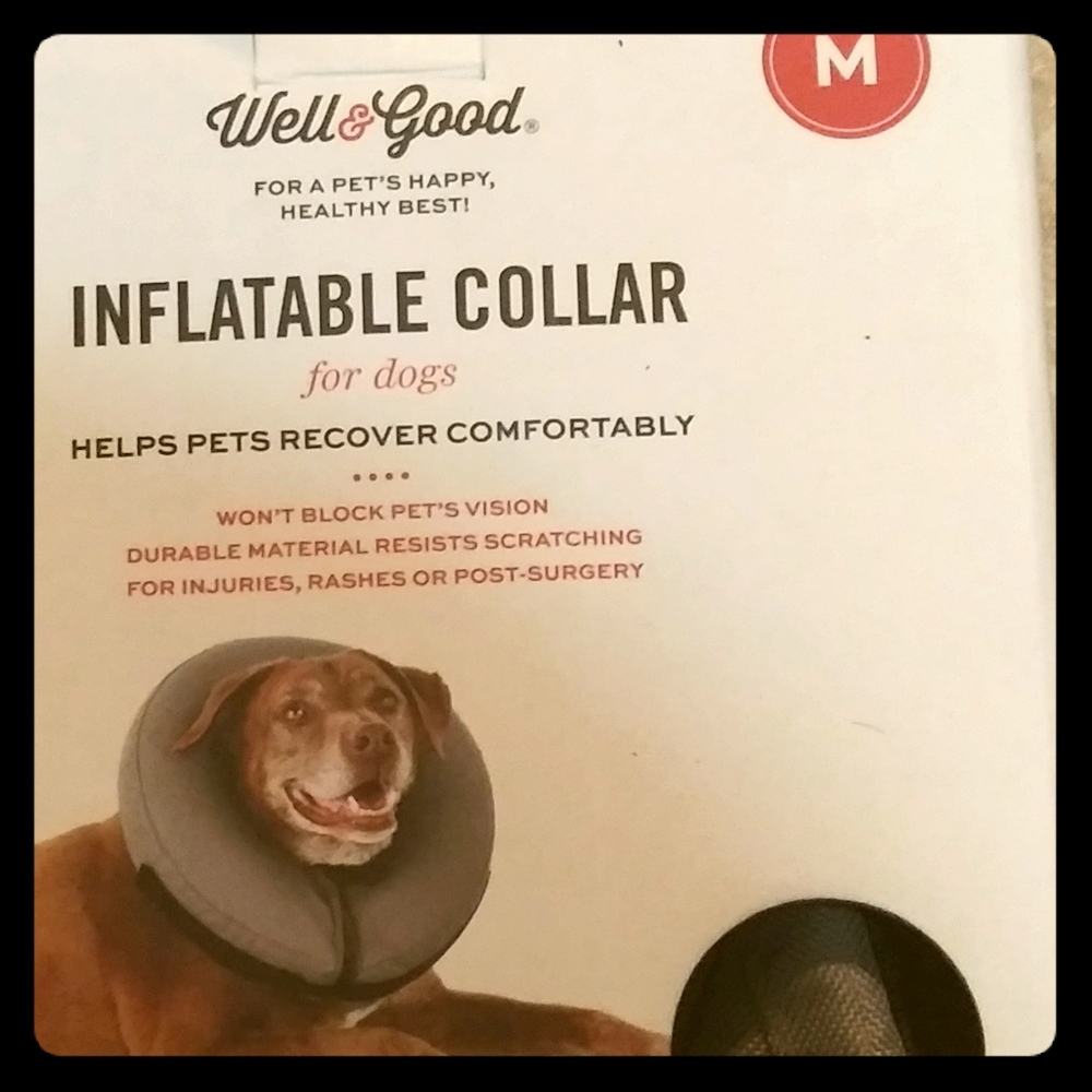 Inflatable dog collar